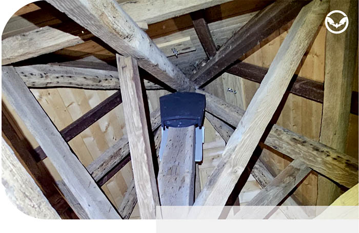 vleermuistorensinzet